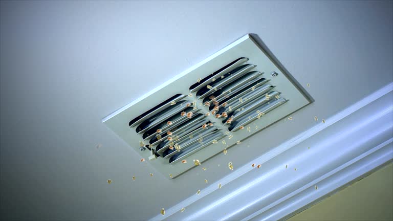 Best Affordable Air Duct Cleaning  in Dauphin Island, AL