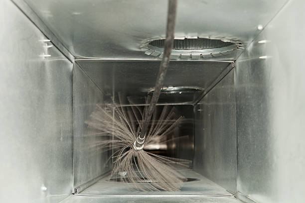 Best Air Duct Sanitizing Services  in Dauphin Island, AL