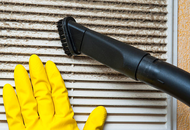 Best HVAC Duct Inspection Services  in Dauphin Island, AL