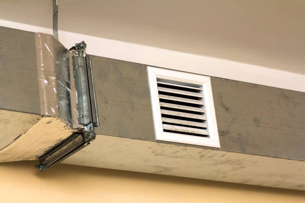 Best Air Vent Cleaning Services  in Dauphin Island, AL